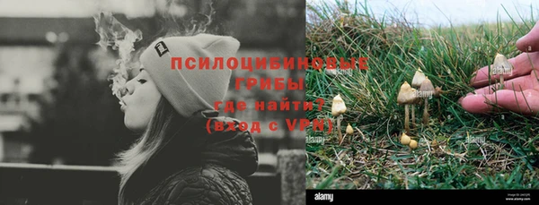 гидропоника Богданович
