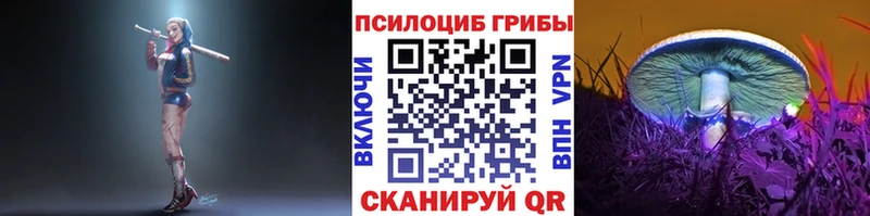 Купить где  Чаплыгин  Галлюциногенные грибы мухоморы 